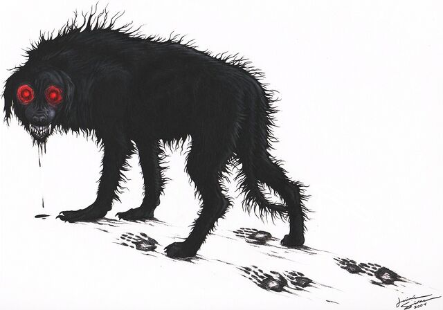 File:Blackdog.jpg