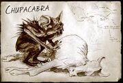 Chupacraba