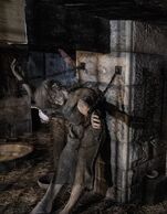 Dungeon
