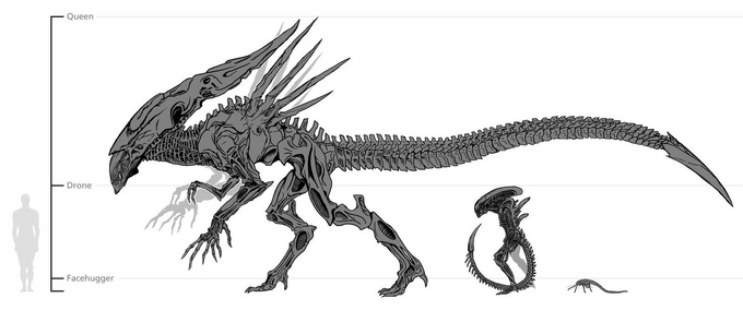 Größenvergleich Alien