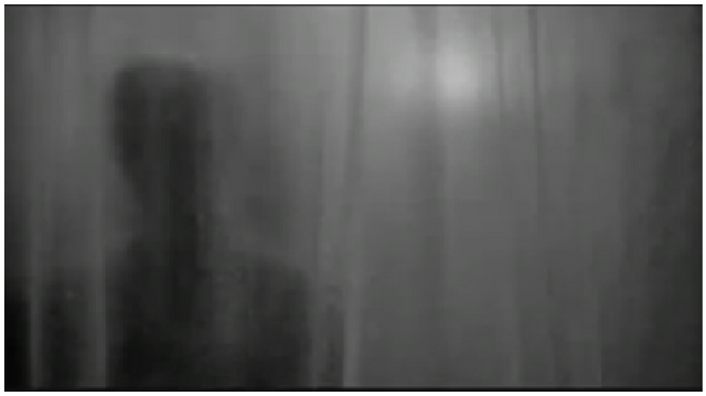File:Shadowghost12345.png