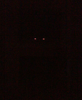 Redeyes