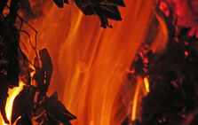 Burning-2-1176588-640x405