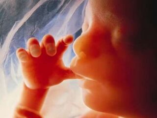Fetusbaby
