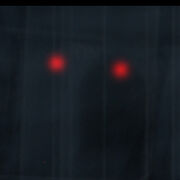 Eyesasdf