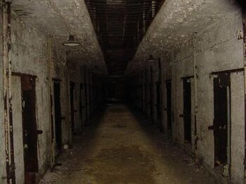 SCP450.jpg