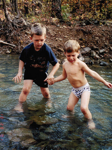 File:Big Brother, Little Brother.jpg