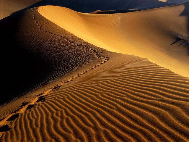 File:Sanddune.jpg