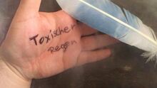 Toxischer Regen