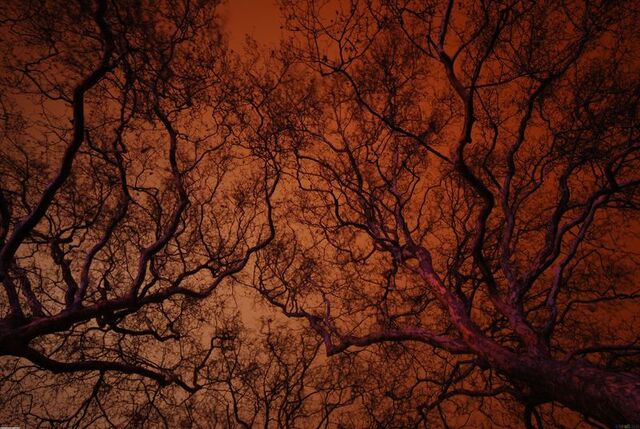File:Scary swedwe.jpg