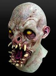 Monsaa