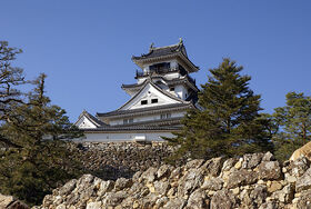 800px-Kochi Castle04s3872