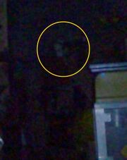 Creepy basement ghost picture 22009a