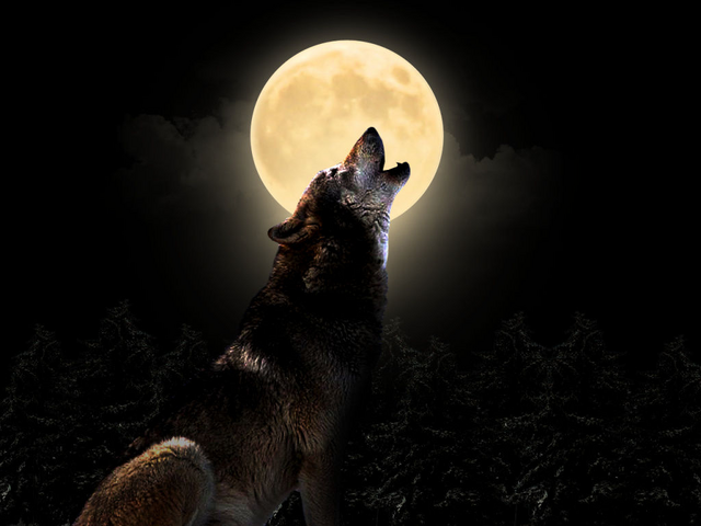 File:Backgrounds 15421.png