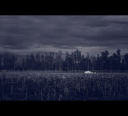 Nightfall