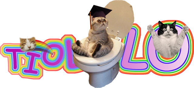 File:Hololololo.png