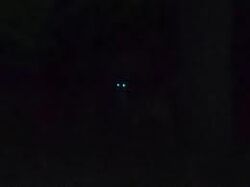 Eyesindark