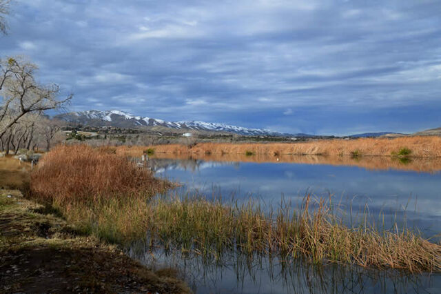 File:LakePalmdale2Jan72011CYorke.jpg
