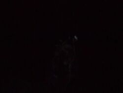 Creature1