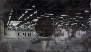 800px-SCP002