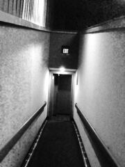 Photo (5)