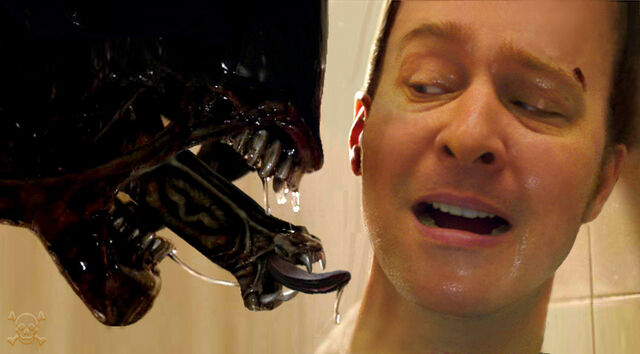File:Head to head.jpg