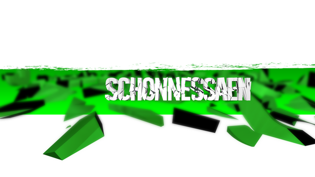 Datei:Banner schonnessaen.png