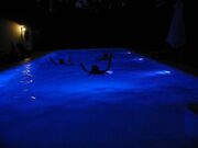 La-piscina-de-noche
