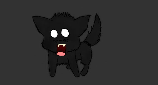 File:Scary cat.jpeg