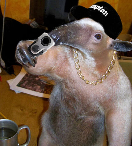 File:Compton-anteater.jpg