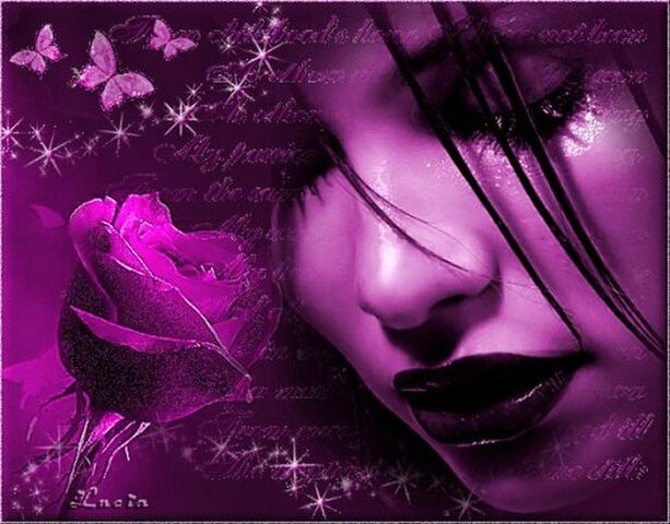 File:Purple Rose.jpg