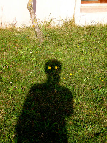 Datei:Dandelionman.jpg