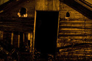 Shedman