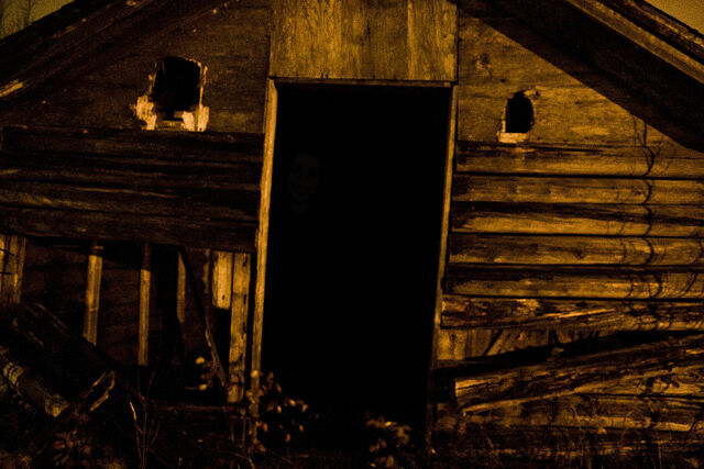 File:Shedman.jpg