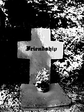 Friendship