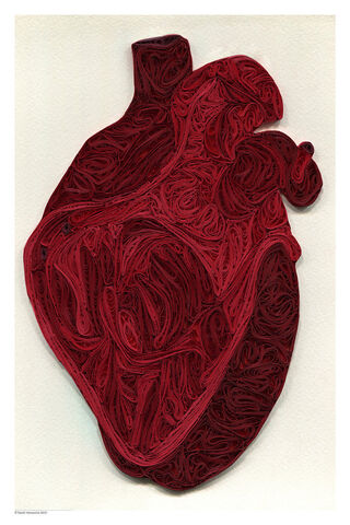 File:Heart.jpeg