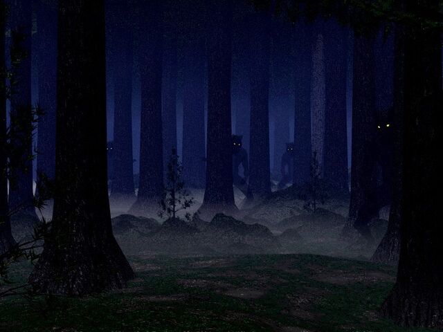 File:Shadow woods.jpg