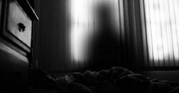 Shadow-0
