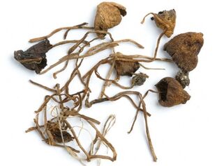 The shrivled shrooms