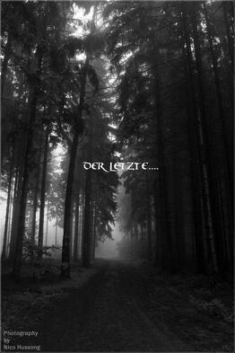 Derletzte