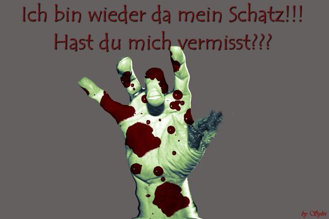 Datei:Hast du mich vermisst.jpg