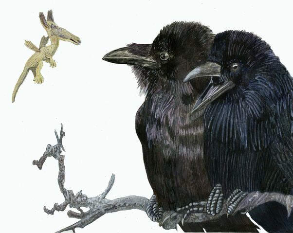 File:Ravens.jpg