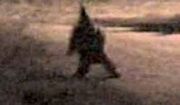 Duende