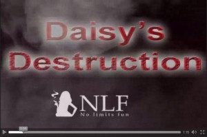 Daysi´s destruction.jpg