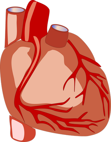 Datei:Heart-2028154 960 720.png