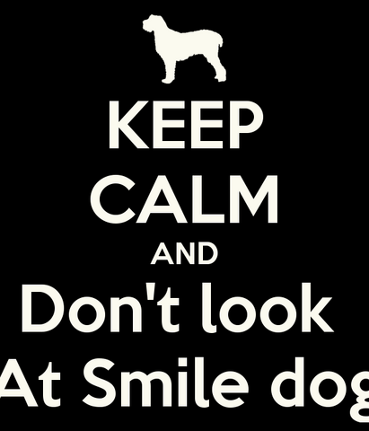 File:Keep-calm-and-don-t-look-at-smile-dog.png