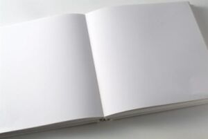 Libro blanco.jpg