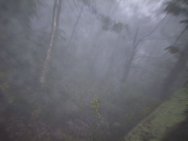 File:Pshot28.jpg