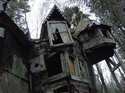 In my Dreams... House in the Woods