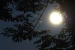 Vollmond